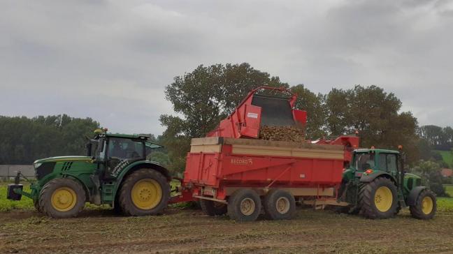 Belgapomnotering voor vroege aardappelen daalt verder.