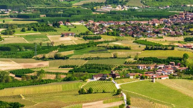 Plattelandsgebieden en -landschappen worden gevormd door de landbouw, die tevens zorgt voor het behoud van natuurlijke hulpbronnen en een uniek platteland creëert en in stand houdt dat iedereen ten goede komt. Ook de sleutelrol die vrouwen en jonge landbouwers spelen, stond centraal in de discussies.