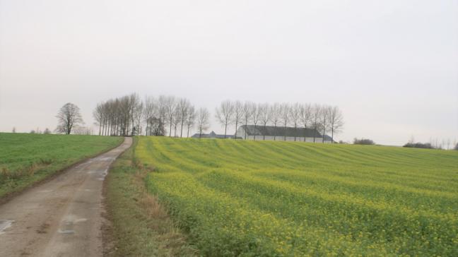 Waarom wordt de klimaatopwarming zo hard in de schoenen van de Vlaamse landbouwer geduwd?