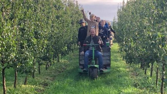 Dankzij de workshops 'Plukvers van de pers' maken leerlingen kennis met de appelteelt in een fruitbedrijf.