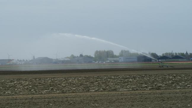 De manier van irrigeren maar ook het bewerken van de bodem is bepalend voor de vochtopname van landbouwgewassen.