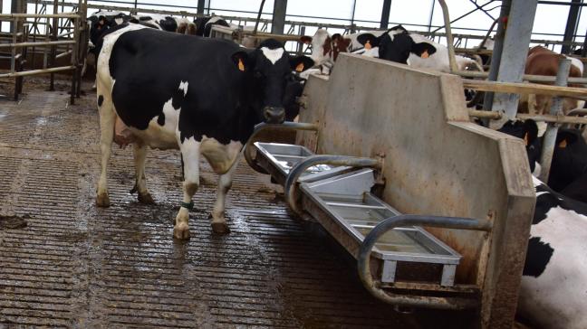 Vooral veehouders laten op hun bedrijf een wateraudit via Kratos uitvoeren.