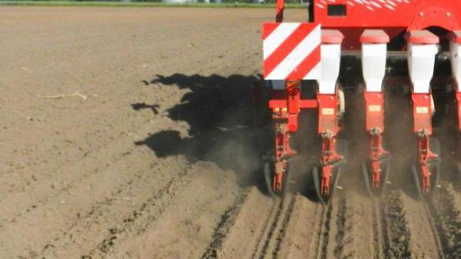 Europa wil meer inzetten op gezonde bodems, belangrijk in de strijd tegen de klimaatverandering.