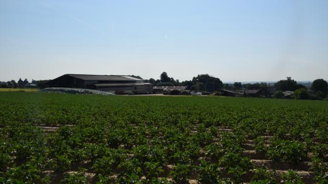 De Vlaamse agrovoedingssector heeft, net als de Vlaamse landbouw, een duidelijke ambitie de klimaatdoelstellingen te behalen en als sector steeds te verduurzamen.