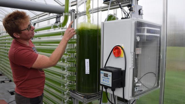 Met zijn algeninstallatie kan Kris Heirbaut CO2 vangen en verwerken tot plantaardige eiwitten voor menselijke consumptie.