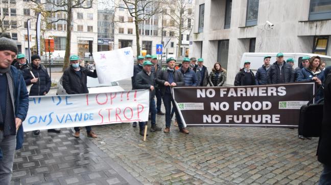 Varkenshouders over het hele land betoogden in Brussel, en vroegen aandacht voor hun financiële situatie.