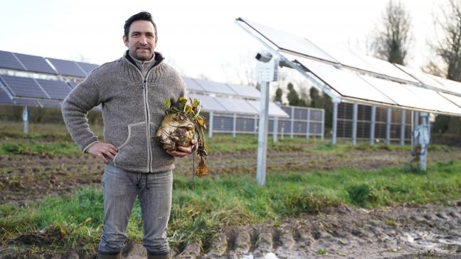 Herman neemt op eigen initiatief deel aan het onderzoek rond agrivoltaics.