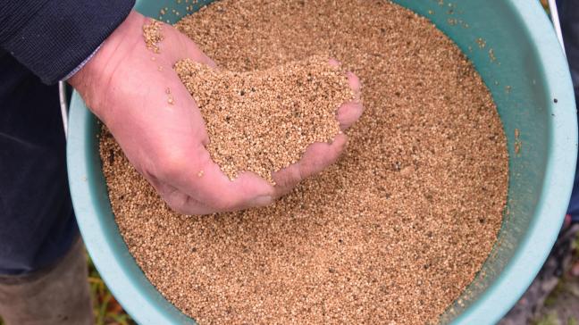 Kies je voor quinoa, dan kunnen de pre-ecomaatregelen je zelfs een duwtje in de rug geven.