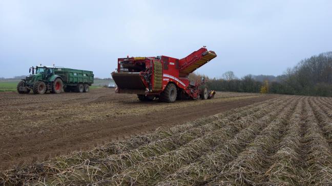 Er zijn geen bijkomende maatregelen nodig voor landbouwproducten uit zones in Vlaanderen waar geen historische verontreiniging met PFAS is bekend.