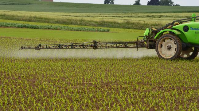 In 2019 was het pesticidengebruik in ons land met ongeveer 35% verminderd in vergelijking met de periode 2011-2013.