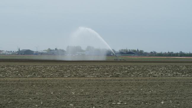 De Waterbarometer verschaft bedrijven inzicht in hun watermanagement.