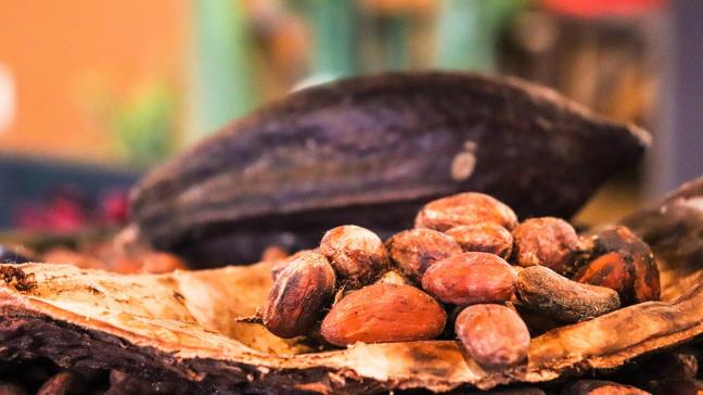 De industrie krijgt al langer het verwijt onvoldoende op te treden tegen de kinderarbeid op cacaoplantages