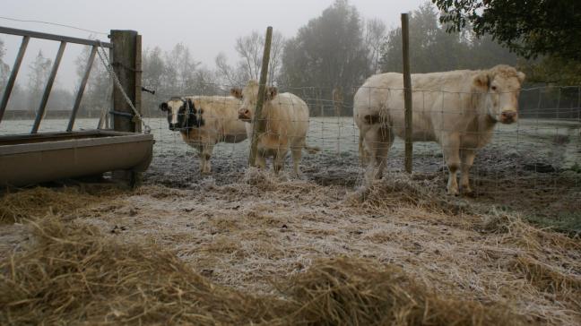 Via provinciale dialoogsessies wil het VLM luisteren naar de landbouwers.