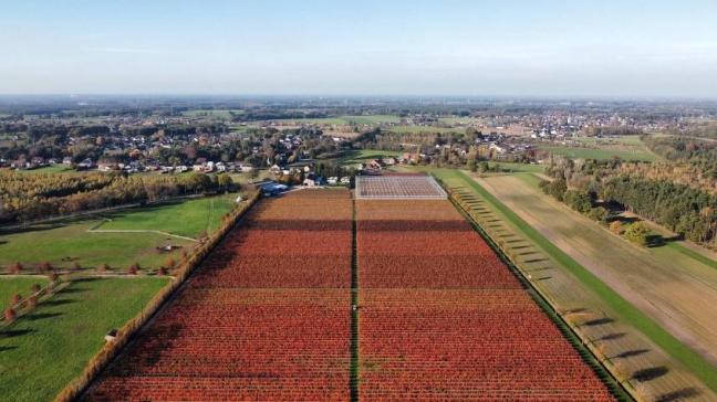 Regionaal Landschap Kempen en Maasland en pcfruit vzw testen momenteel de mogelijkheden van natuurvriendelijke maatregelen en smart farming.