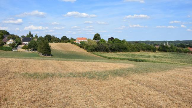 Ook in België hebben we de voorbije jaren de effecten gezien in de vorm van overstromingen, droogte en hittegolven, stelt het WWF.