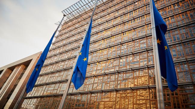 Zo vraag het Europees Parlement om tijdelijke het gebruik van gewasbeschermingsmiddelen toe te staan op ecologische aandachtsgebieden die geschikt zijn voor de teelt van eiwithoudende gewassen.