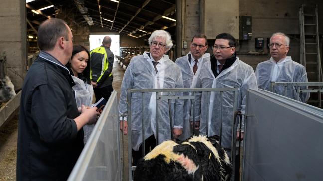 Tom Blockeel geeft de ambassadeur, de mensen van Ecodynamics en de burgemeester en viceburgemeester van Oudenaarde uitleg over zijn bedrijf.