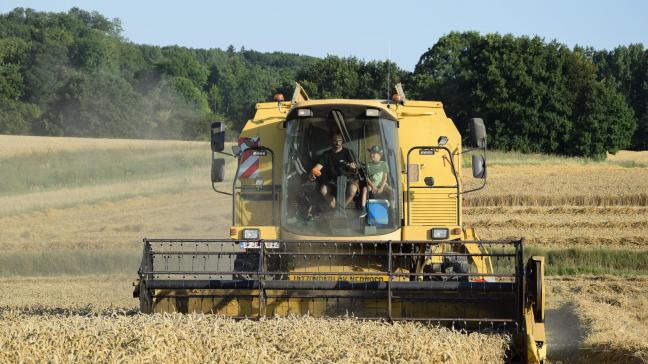 Na de Russische inval in Oekraïne schoot de tarweprijs omhoog.