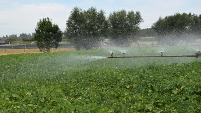 Door meer restwater te gebruiken kan de land- en tuinbouwsector dreigende droogte voorkomen.