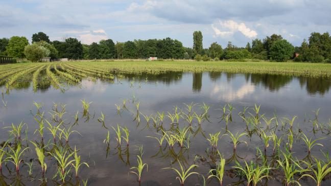 Met een brede weersverzekering kun je je wapenen tegen extreme en ongunstige weersomstandigheden die de draagkracht van je bedrijf te boven gaan.