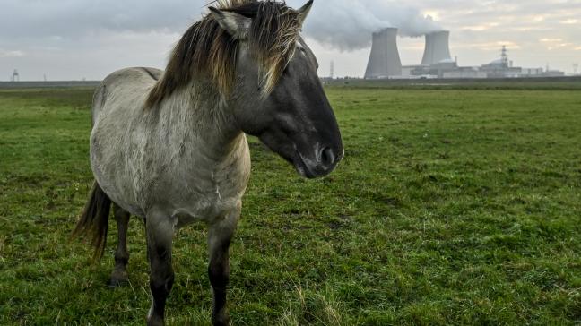 Om de leefbaarheid van de landbouw nabij Doel te verhogen, komen er extra  maatregelen.