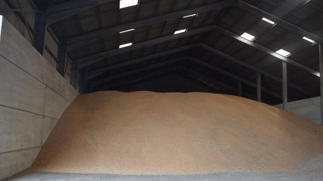 Rusland heeft in de bezette gebieden in het zuiden en oosten van Oekraïne honderdduizenden tonnen graan gestolen.