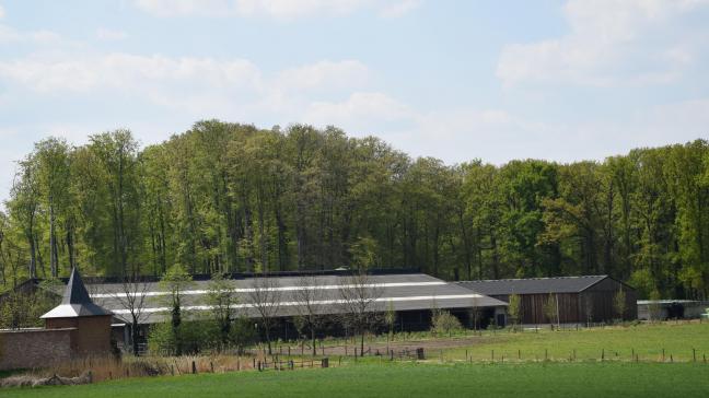 Veel stikstof die bij ons neer daalt is van buitenlandse origine.