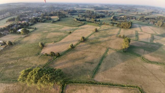 Bomen en struiken zijn onlosmakelijk verbonden aan het Vlaamse landschap.