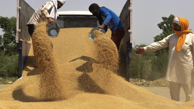 India meldt zich als potentiële grote tarwe-exporteur, maar is het logistieke apparaat in India voldoende uitgerust om deze grote hoeveelheden exporttarwe te verwerken?