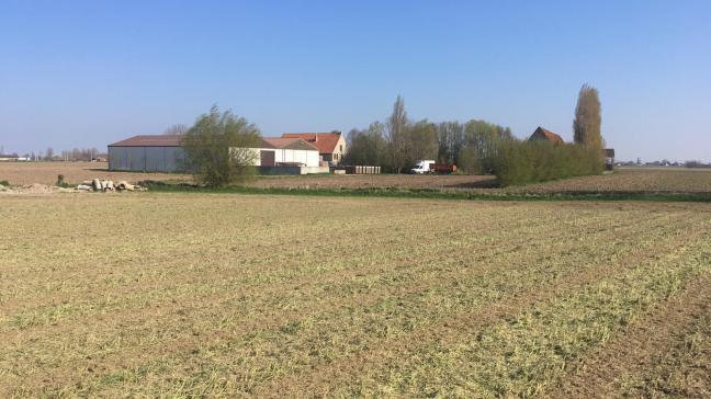Een bioboerderij kan maximum 2.500 euro voortzettingspremie krijgen.