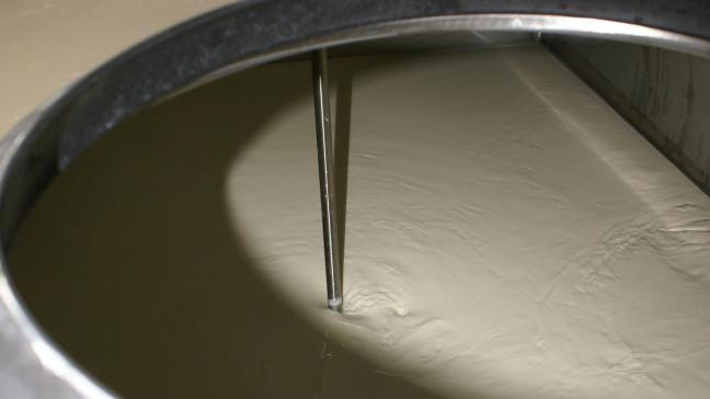 Zowel de garantieprijs in Nederland als de standaardprijs van melk in België gaan naar een historische +50 euro bij de  meeste melkkopers.