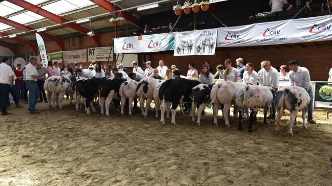 De leerlingen van het 4e jaar en tot de leeftijd van 16 jaar optie Landbouw bereiden zich in de voorafgaande weken intens voor op hun showmanship voor zowel melkvee als BWB-vee.