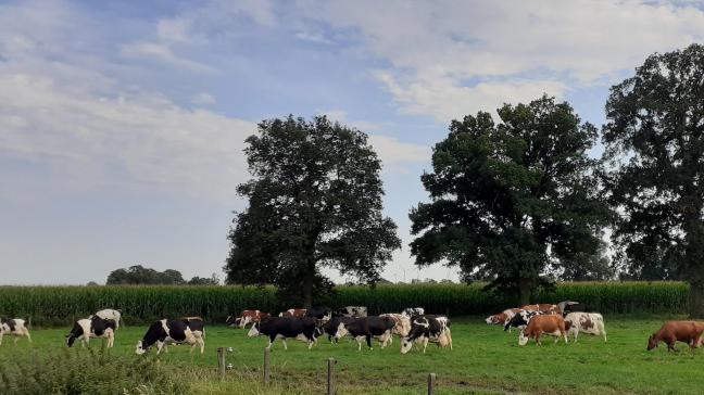 Hugo De Nil vraagt zich in zijn lezersbrief af of landbouw echt zo slecht is.