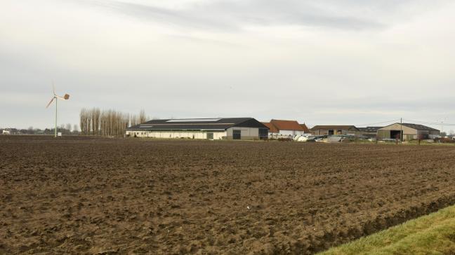 Voor kleine en middelgrote windturbines geldt voor VLIF-subsidies dat de geproduceerde hernieuwbare energie ook moet worden gebruikt op het landbouwbedrijf zelf.
