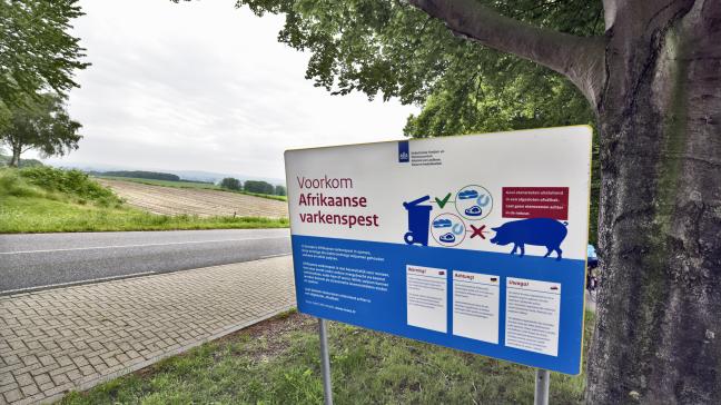 De besmetting met Afrikaanse varkenspest op een Duits varkensbedrijf gebeurde op slechts 15 km van de Nederlandse grens. Dit verontrust de hele sector.
