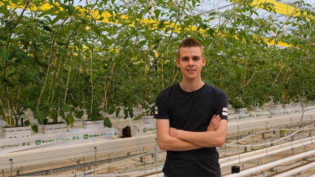 Mitch Vermeiren, hier te zien bij zijn jonge tomaten.