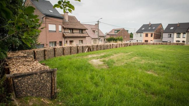 houthakseldammen