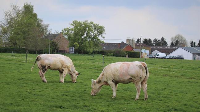 Ondanks hun harde werk kunnen landbouwers in Europa maar met moeite de eindjes aan elkaar knopen.