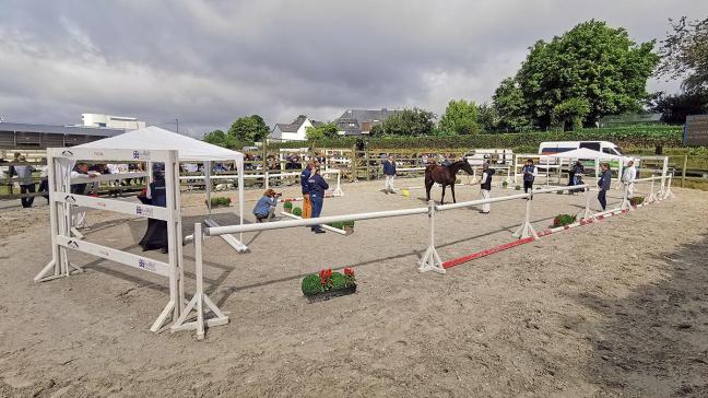 Sfeerfoto van de editie 2021 van de Summer Breeding Show. Op eigen kracht gezien de Landbouwbeurs niet doorging en dus met weinig publiek. Dit jaar geldt: met volle kracht vooruit!