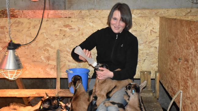 Anne Delbeke heeft een kudde van 80 geiten. Ze produceren ongeveer 240 l melk per dag, die Anne volledig zelf verwerkt.