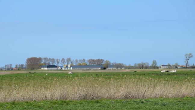 In West-Vlaanderen vind je gemiddeld de grootste en tevens duurste percelen van het land.