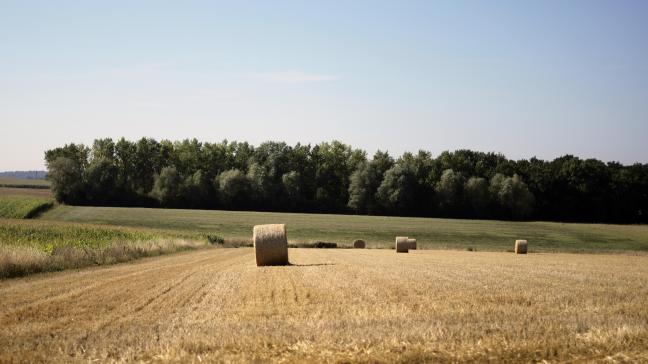 Er zal aan de verschillende sectoren en overheden worden gevraagd om te laten weten welke maatregelen zij nemen om hun watergebruik te beperken.