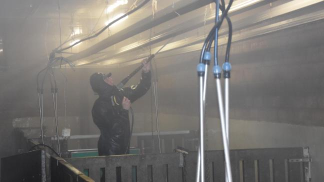 Volgens de LMN-enquête gaat 13% van het opgevangen water naar het reinigen van stallen en materieel.