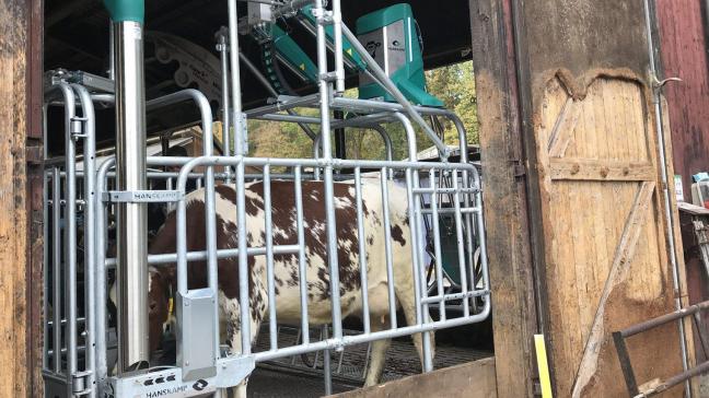 Het CowToilet kreeg op de vorige EuroTier een gouden medaille als belangrijkste innovatie. Mogelijk komt het toestel ook in onze Vlaamse veebedrijven terecht.