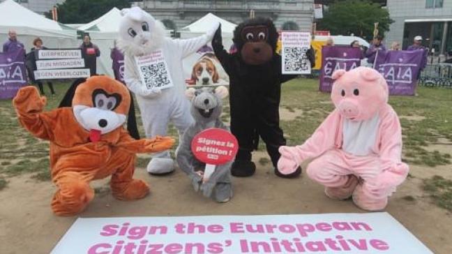 Een jaar lang werd campagne gevoerd om burgers over dierproeven te informeren en hen het burgerinitiatief te laten teken.