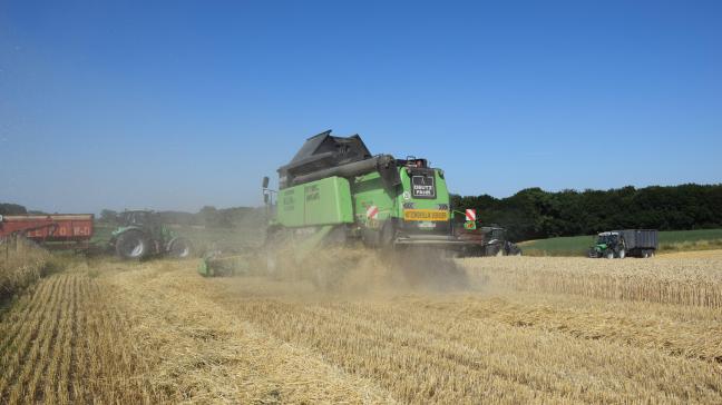 We beleefden in ons land de warmste augustus ooit.