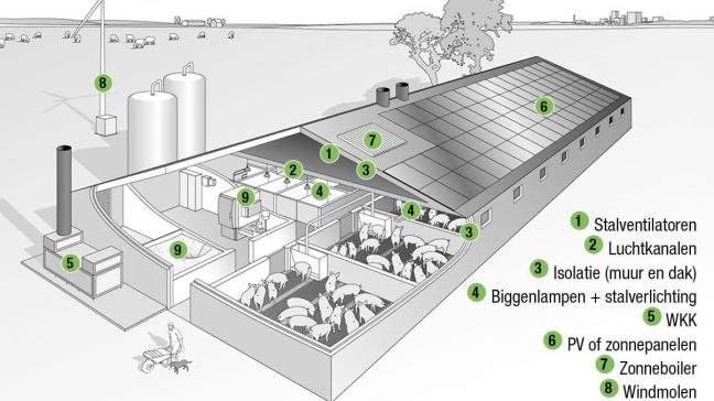 Aandachtspunten inzake energie op een varkensbedrijf.