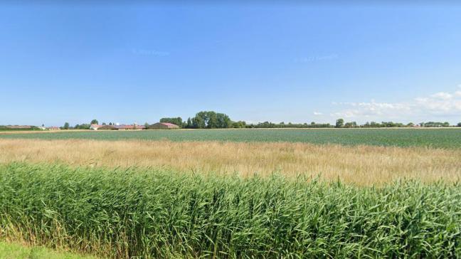 De lezer vindt dat de landbouw in het algemeen heeft te lijden onder de politieke beslissingen in De Haan.