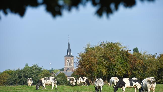 De definitieve versie van het strategische plan voor het Waalse GLB zal nog voor het einde van dit jaar officieel erkend worden door de Europese Commissie.