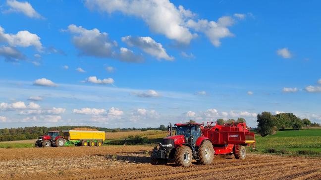 Hoewel het rooien van aardappelen er nog niet op zit, worden al kiemende aardappelen in de opslag gemeld.